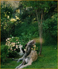 Frank’s Dog Visiting with His Deceased Friend